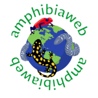 AmphibiaWeb logo