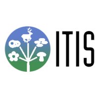 Integrated Taxonomic Information System logo