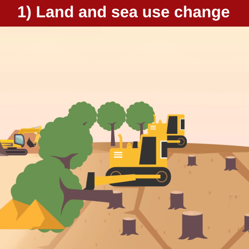 IPBES Direct Driver of Nature's Change 1