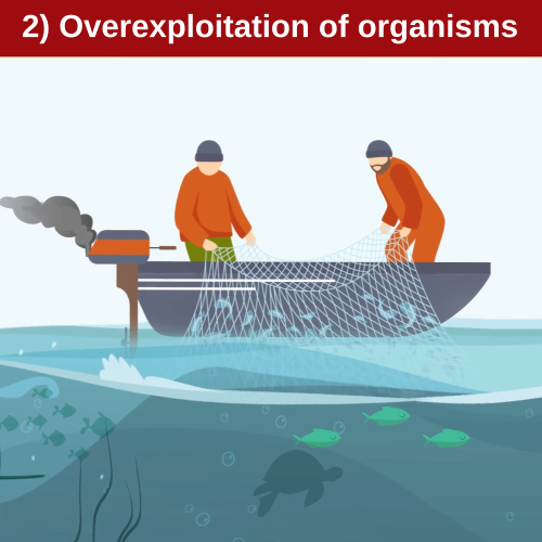 IPBES Direct Driver of Nature's Change 2