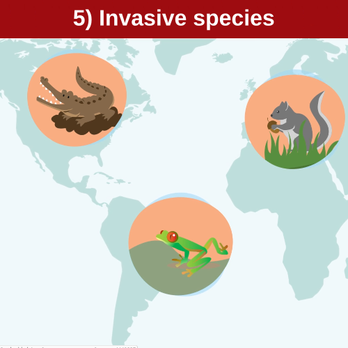 IPBES Direct Driver of Nature's Change 5