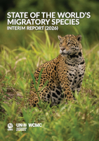 CMS 2026 report cover