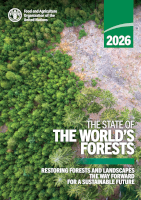 FAO Forests 2026 report cover