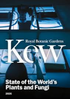 Kew 2026 report cover