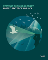 NABCI 2025 report cover