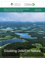 NbS Water 2025 report cover