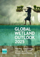2025 Global Wetland Outlook report cover