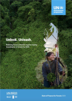 UNEP Forests 2025 report cover