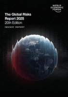 WEF Global Risk Report 2025 report cover