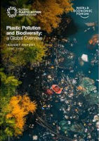 WEF Plastic Pollution 2026 report cover