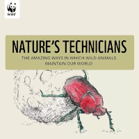 WWF 2025 report cover