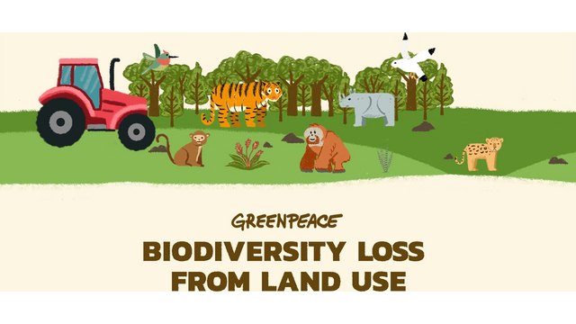Greenpeace: Biodiversity loss from land use poster