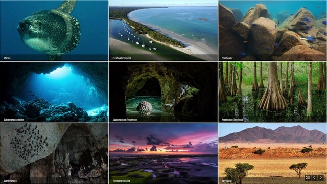The IUCN Global Ecosystem Typology poster