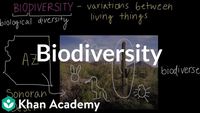 Khan Academy: Biodiversity? poster