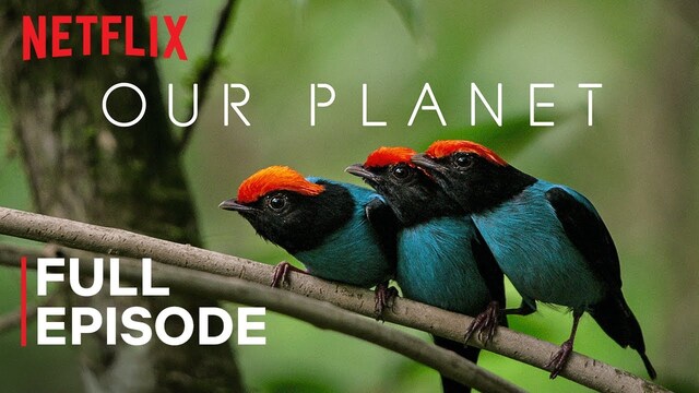 Our Planet: One Planet poster