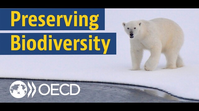 OECD: The battle for biodiversity in economic and development policy poster