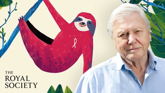 Royal Society: Why is Biodiversity Important? poster