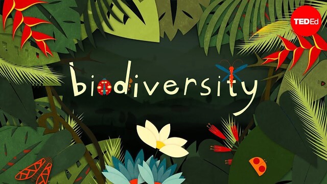 TED-Ed: Why is biodiversity so important? - Kim Preshoff poster